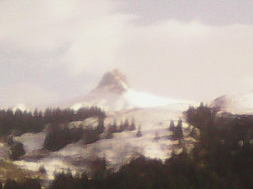 Sunnegg